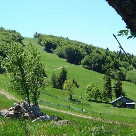 Bed and Breakfast Le Nid Douillet Plancher-Bas Exterior foto